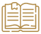 Strategic launch icon